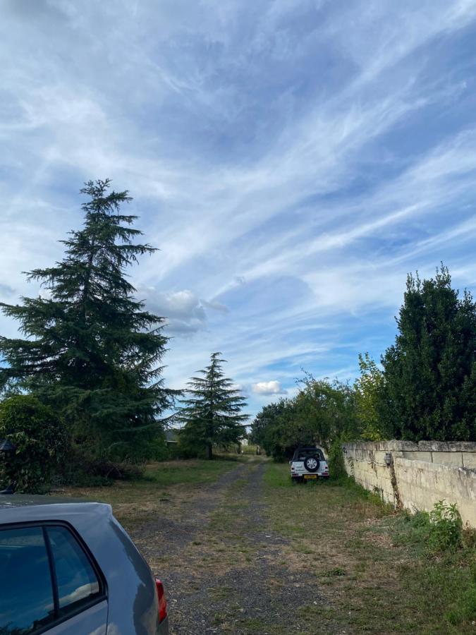 Gites De La Levee Chouzé-sur-Loire Dış mekan fotoğraf